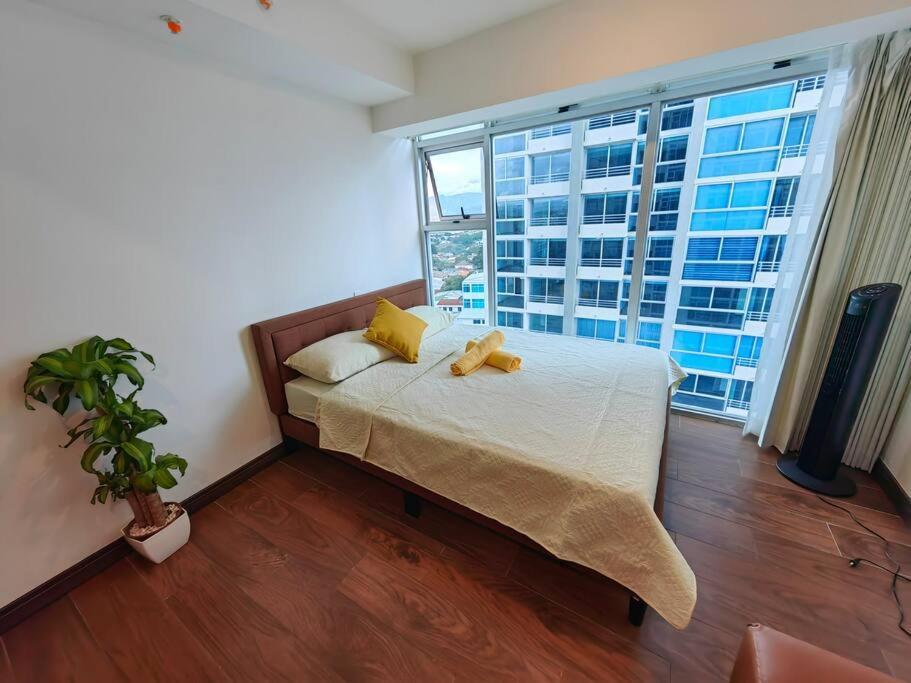 1102 Torre Los Yoses Hermoso Apartamento En Barrio Escalante Sin Parqueo 聖荷西 外观 照片
