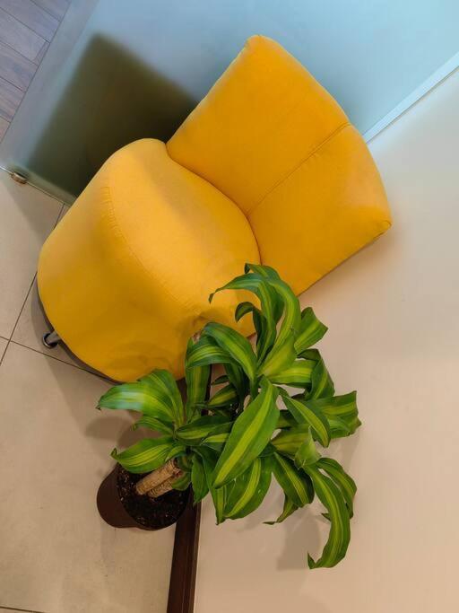 1102 Torre Los Yoses Hermoso Apartamento En Barrio Escalante Sin Parqueo 聖荷西 外观 照片